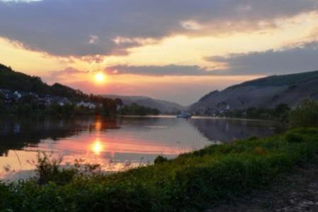 Gastehaus Sabine Otel Zell an der Mosel Dış mekan fotoğraf