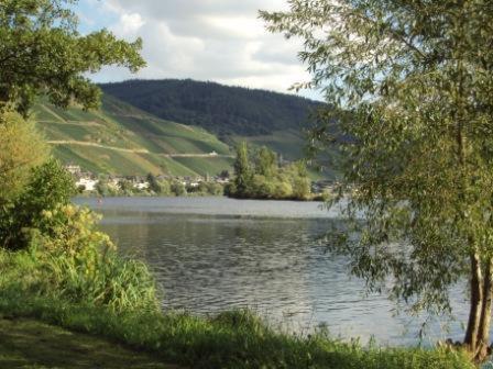 Gastehaus Sabine Otel Zell an der Mosel Dış mekan fotoğraf